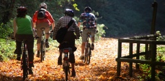 Mountainbiken und Radfahren